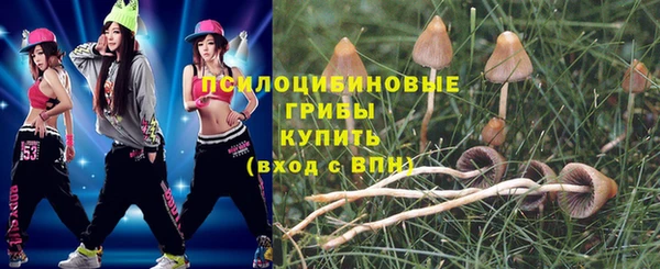 герыч Алзамай