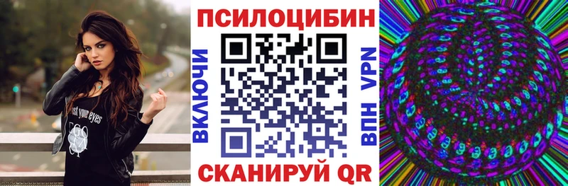 Псилоцибиновые грибы Cubensis купить блэк спрут вход Богучар